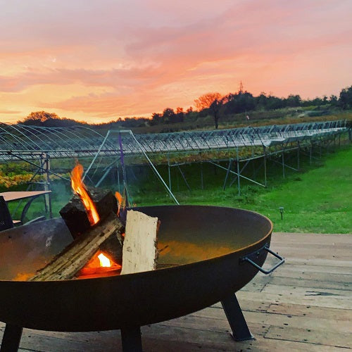 Horaisan Winery – 日本ワインの店 クラフトワインショップ