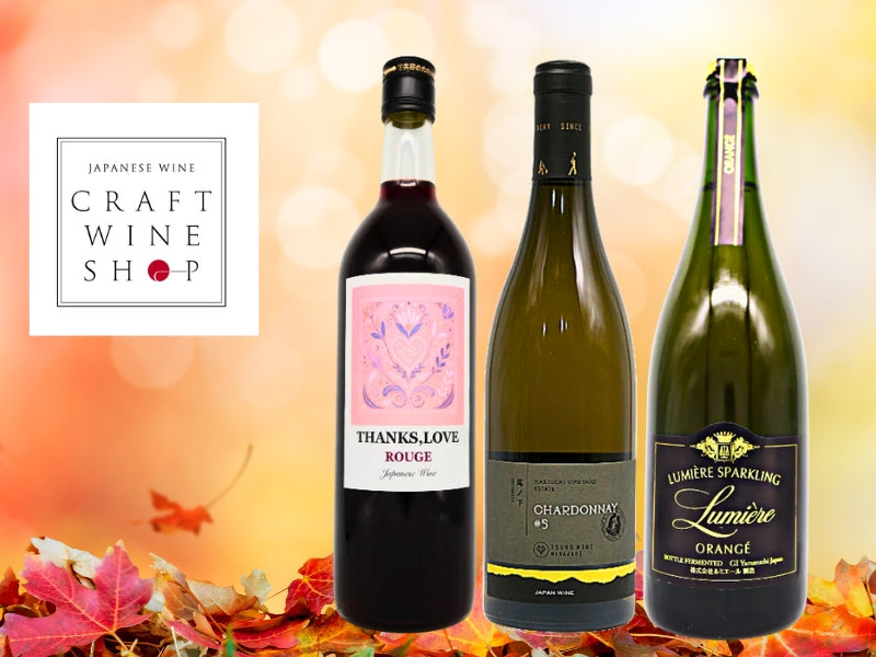 ネパールワインPerfect Fruit Dry Wine1ケース12本 BIG MASTER Perfect Fruit Dry Wine 1 DOZEN(12 bottle) | 極東企画
